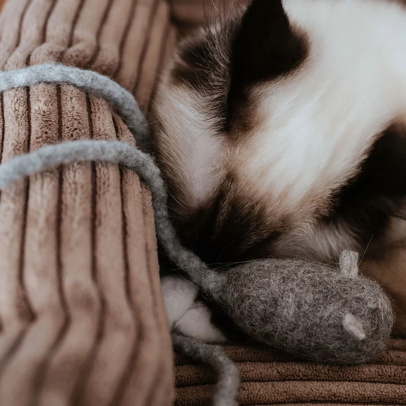 Katzenspielzeug Mousi long