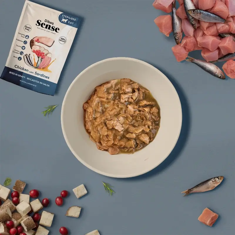 Dibaq Sense Comida Húmeda Gatos Bocaditos En Salsa Pollo Con Sardinas, 12 x 100 gr