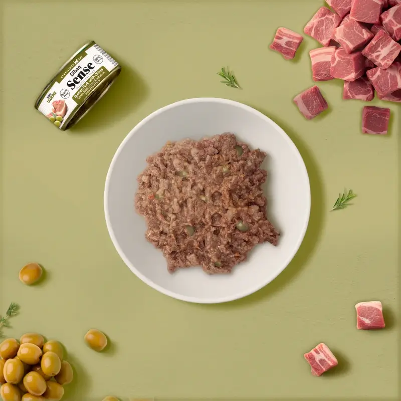 Dibaq Sense Comida Húmeda Gatos Esterilizado Cerdo Ibérico Con Aceitunas, 12 x 70 gr