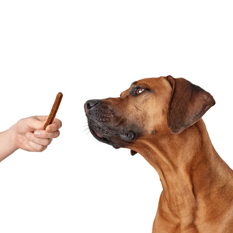 Hundesnack Real Sticks