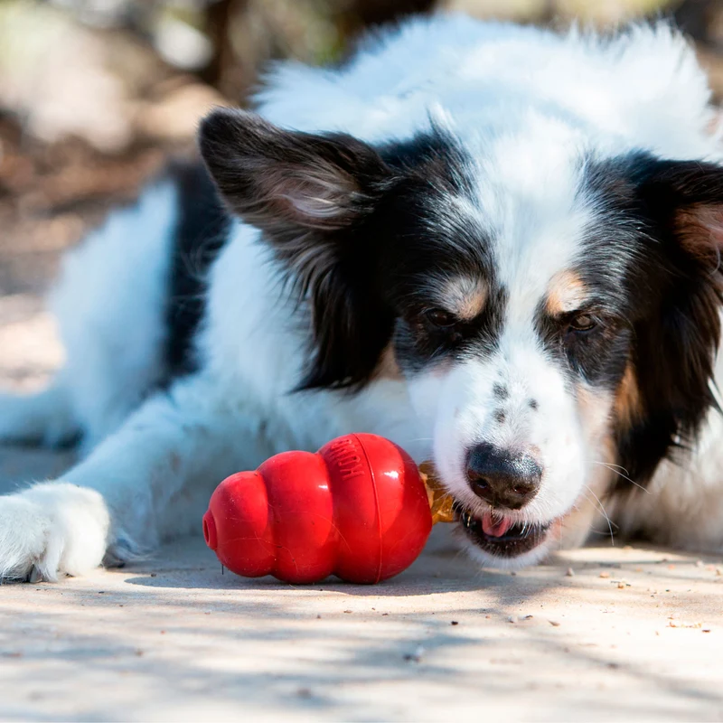 Hundesnack KONG® Snacks™