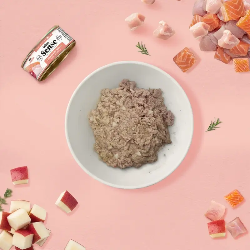 Dibaq Sense Comida Húmeda Gatos Pollo Con Salmón, 12 x 70 gr