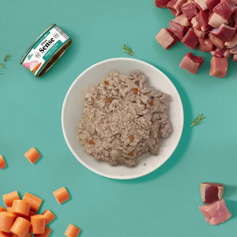 Dibaq Sense Comida Húmeda Gatos Pollo Con Pato, 12 x 70 gr