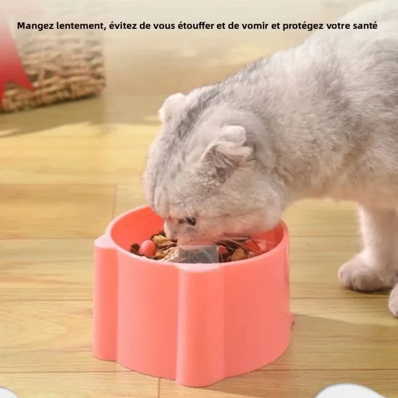 Gamelle Anti-Étouffement Ronde – Préserve la Posture du Cou