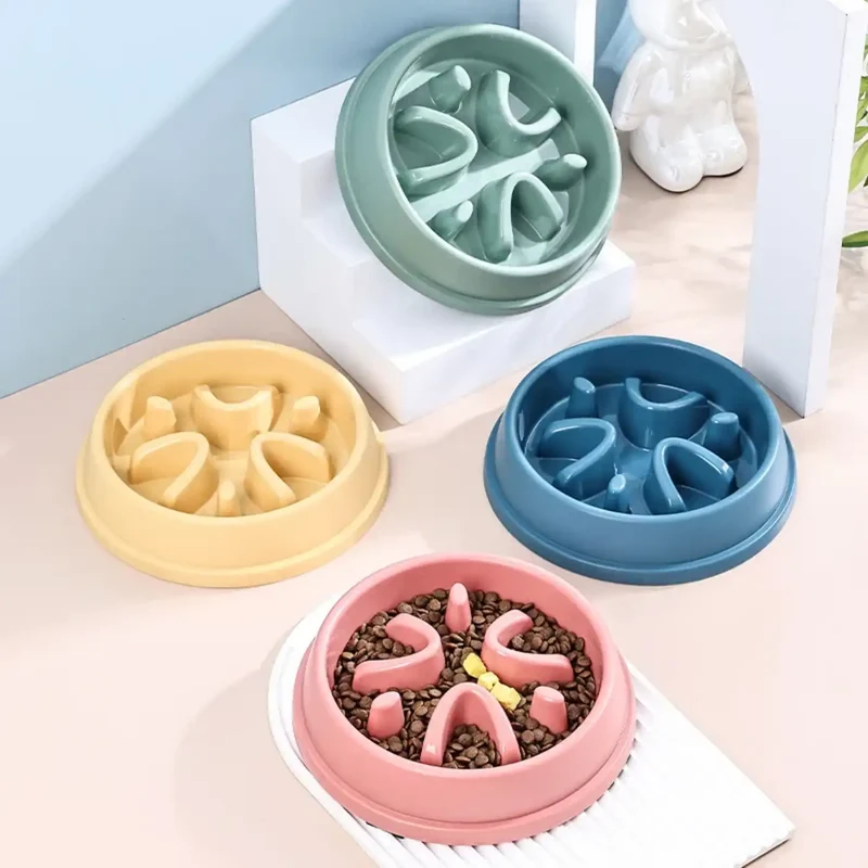 Gamelle Anti-Glouton Légère – Petit Prix, 4 Coloris