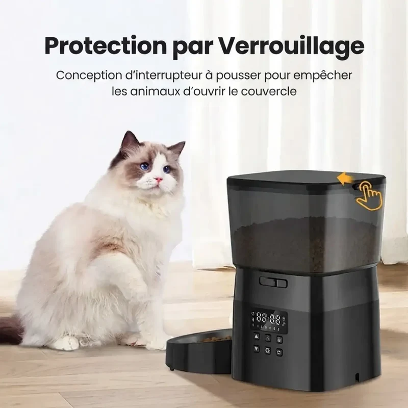 Distributeur Croquettes à Boutons – Sans Application, Écran LCD