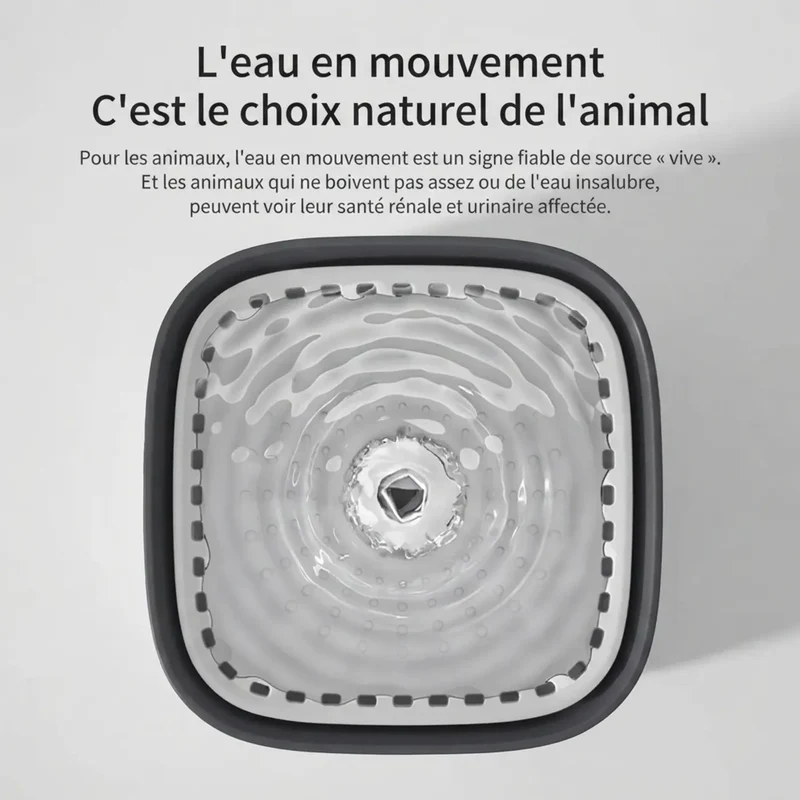 Fontaine à Eau 3L Silencieuse – Filtration Continue USB