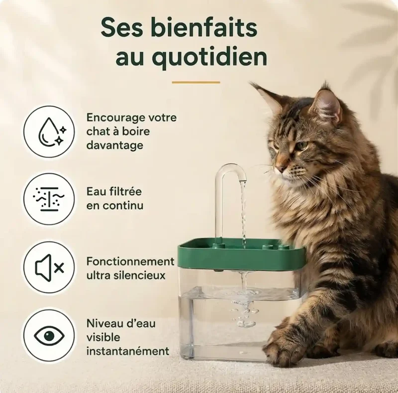 Fontaine à Eau Transparente Silencieuse – Niveau d'Eau Visible, USB