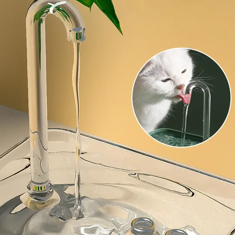 Fontaine à Eau Transparente Silencieuse – Niveau d'Eau Visible, USB