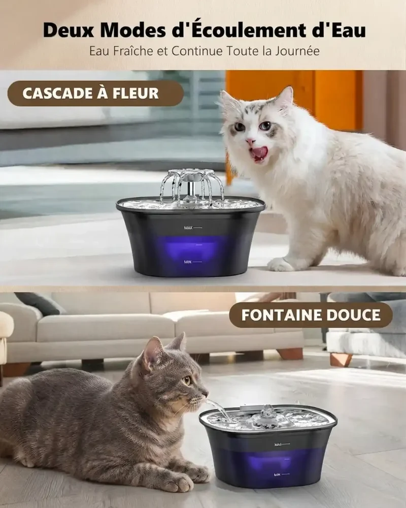 Fontaine à Eau 2,5L USB – Version Simple ou avec Capteur de Mouvement