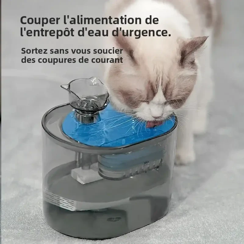 Fontaine à Eau 2,2L Silencieuse – 4 Coloris au Choix