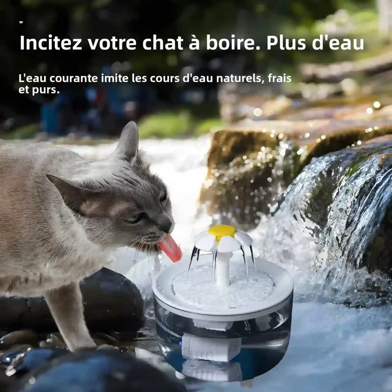 Fontaine à Eau 1,2L avec 4 Filtres Inclus