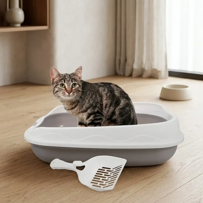 Bac à Litière Entrée Basse Compact – Idéal Chaton et Chat Âgé