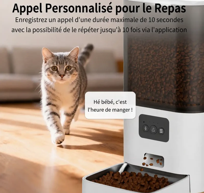 Distributeur2-en-1 Inox 6L Nourriture & 2.5L Eau – Automatique Rechargeable
