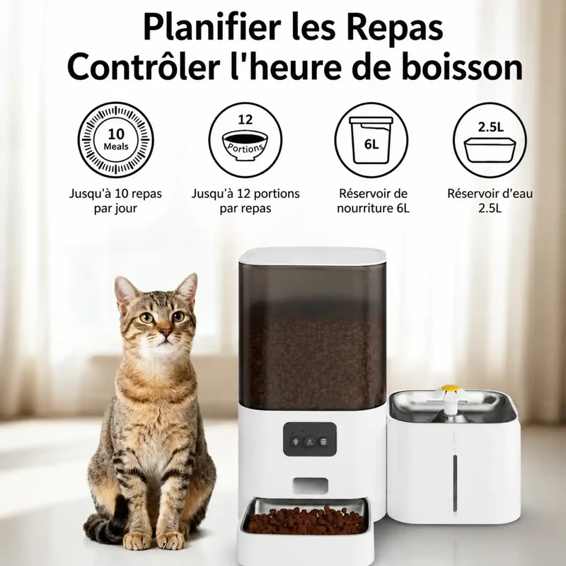 Distributeur2-en-1 Inox 6L Nourriture & 2.5L Eau – Automatique Rechargeable