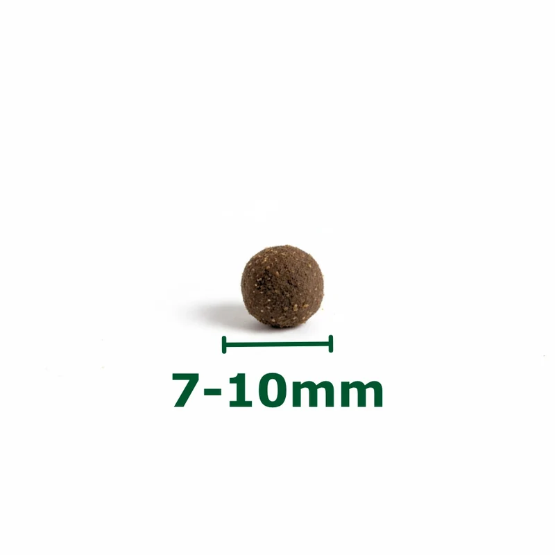 NOUVELLE RECETTE - Croquettes Hypoallergéniques Chat