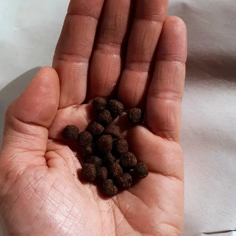 NOUVELLE RECETTE - Croquettes Hypoallergéniques Chat