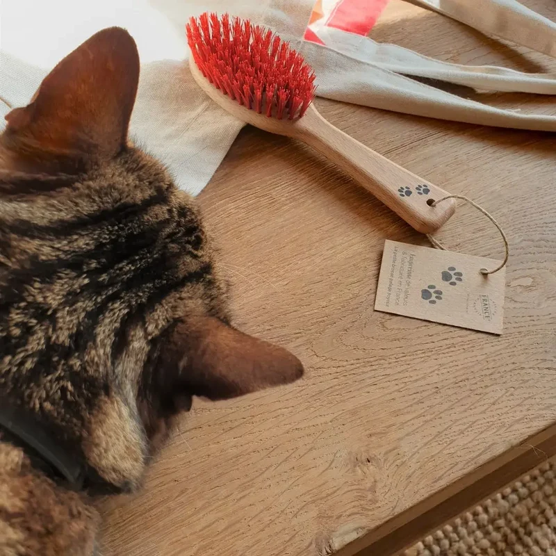 Brosse Française pour Chats