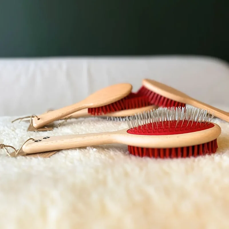 Brosse Française pour Chats