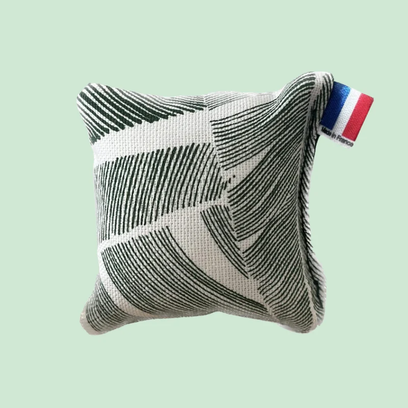 Mini-coussin d'herbe à chat (Chat)