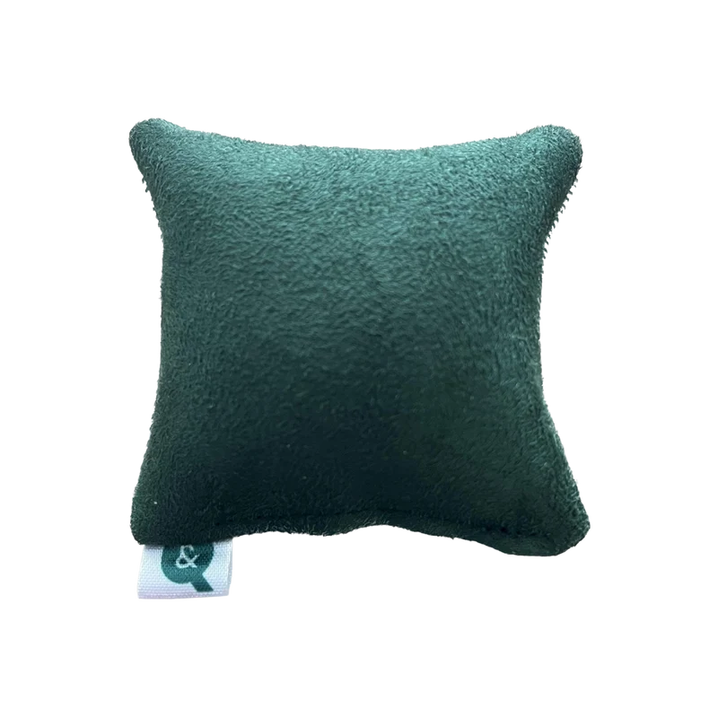 Mini-coussin d'herbe à chat (Chat)