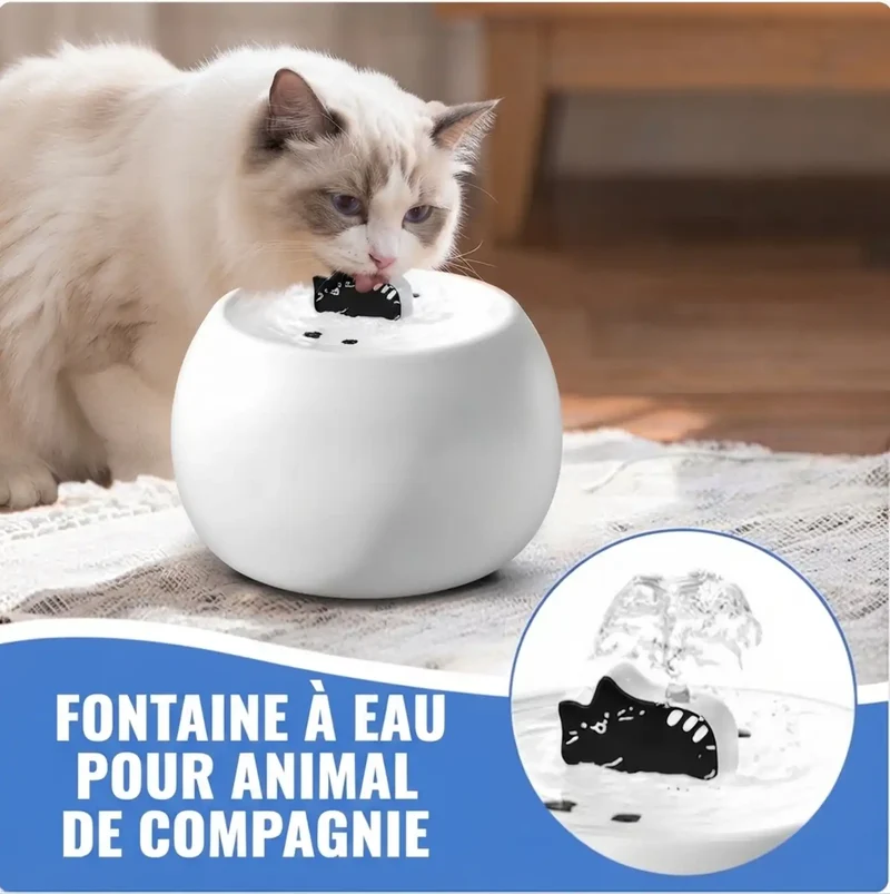 Fontaine Ceramique Rechargeable 1 L – Filtration & Capteur Automatique