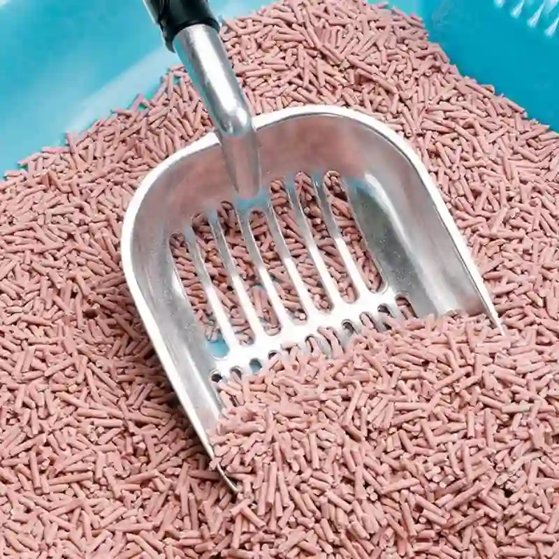 Pelle a Litiere Inox Long Manche – Solide & Facile a Nettoyer