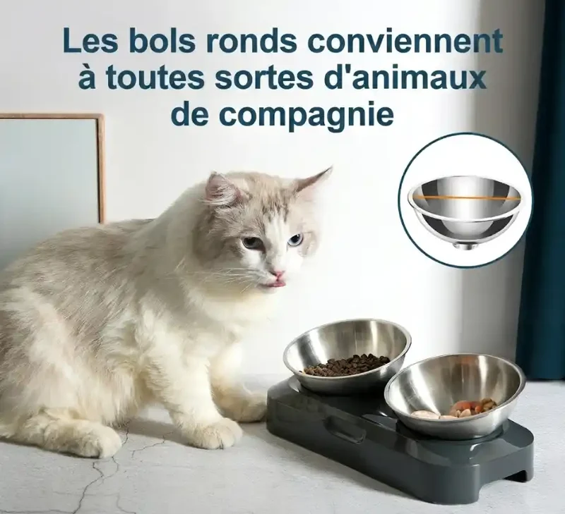 Gamelle Inox Surélevée Double Bol – Ergonomique, Anti-Glisse & Soin du Cou