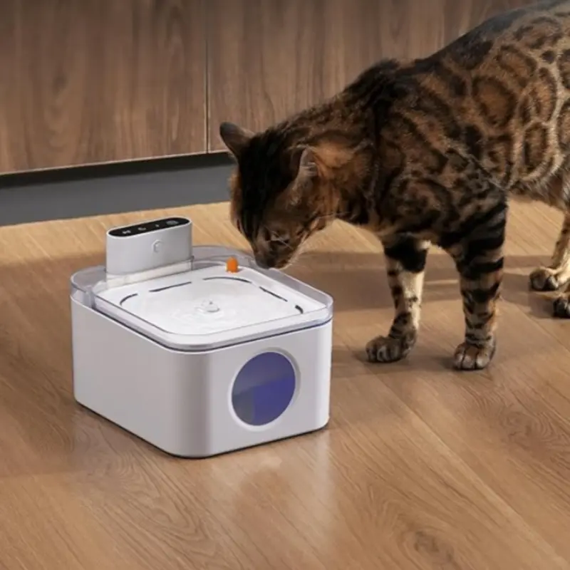 Fontaine à Eau Sans Fil 3L – Capteur Intelligent