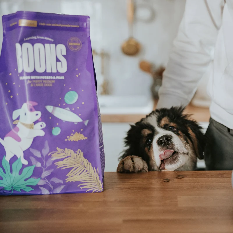 Hundefutter Boons Lachs (für Welpen mittlerer und großer Rassen)