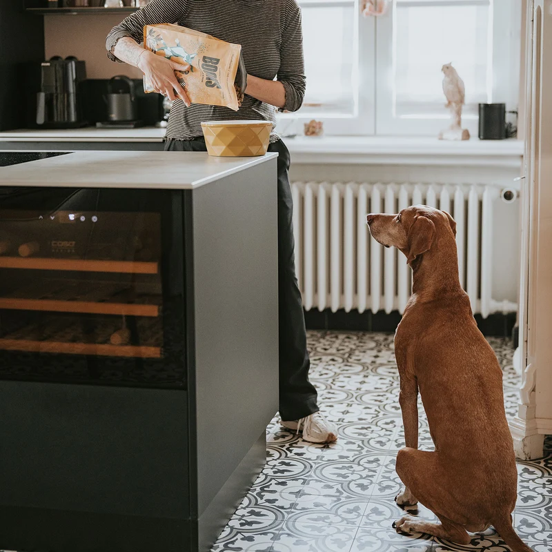 Hundefutter Boons Pute (für ältere Hunde)