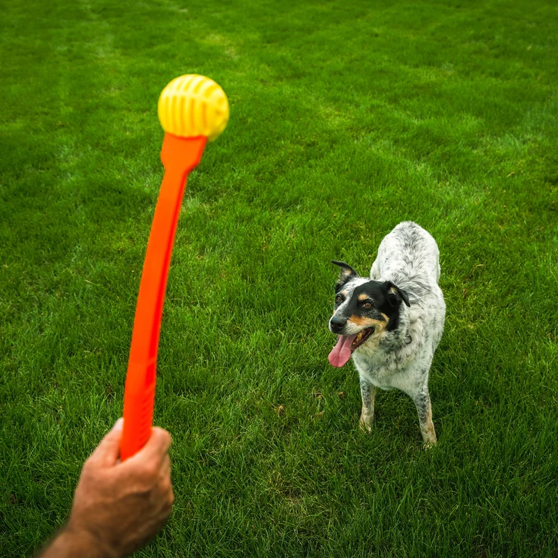 Wurf-Hundespielzeug FLINGERZ™ Ball