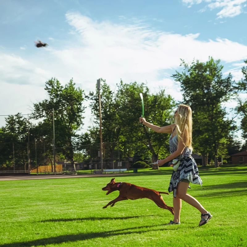 Wurf-Hundespielzeug FLINGERZ™ Furry