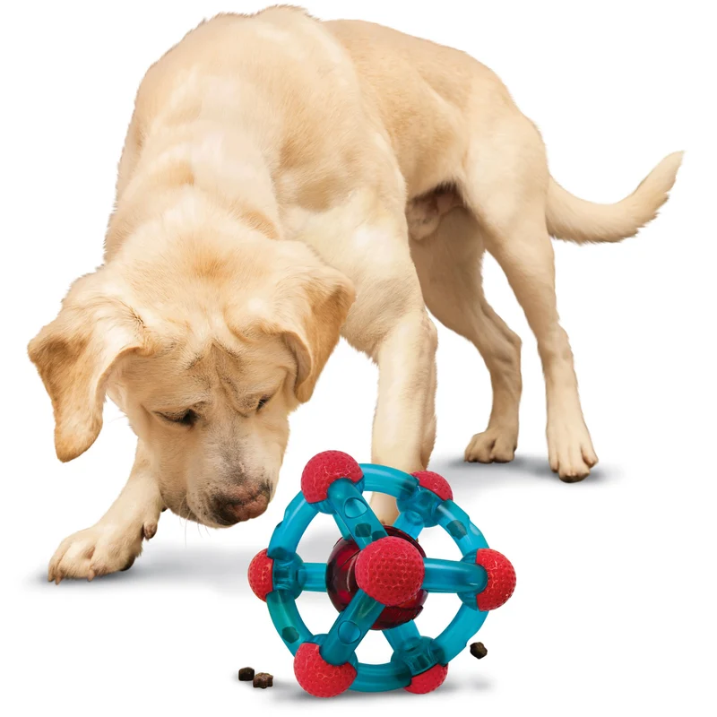 Hundespielzeug KONG® Rewards Tinker