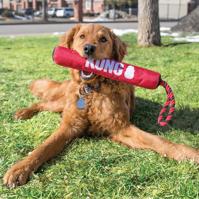 Hundespielzeug KONG® Signature Stick mit Tau