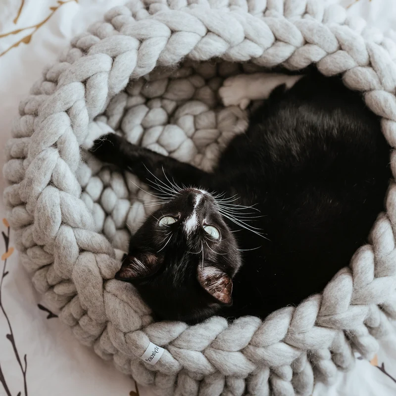 Katzenbett Boogie