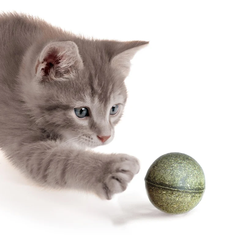 Balles d’herbe à chat Catit - Paquet de 2