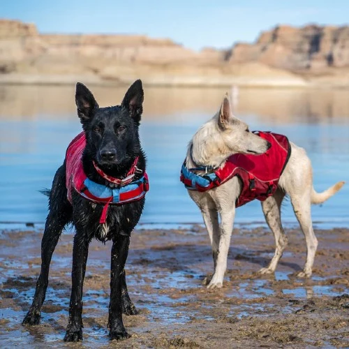 Kurgo Veste de sauvetage Surf'n'turf pour chien, Rouge