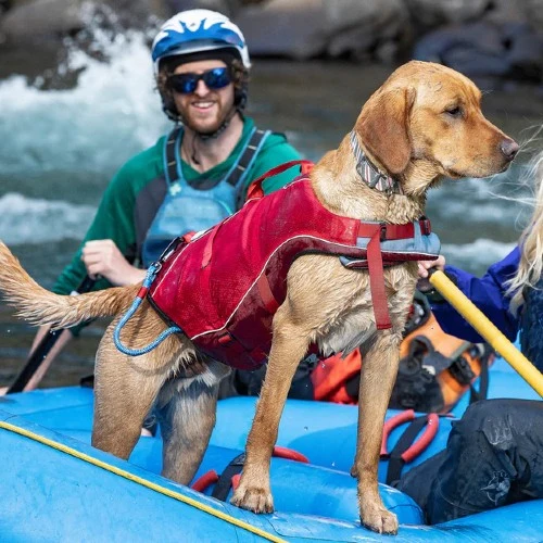 Kurgo Veste de sauvetage Surf'n'turf pour chien, Rouge