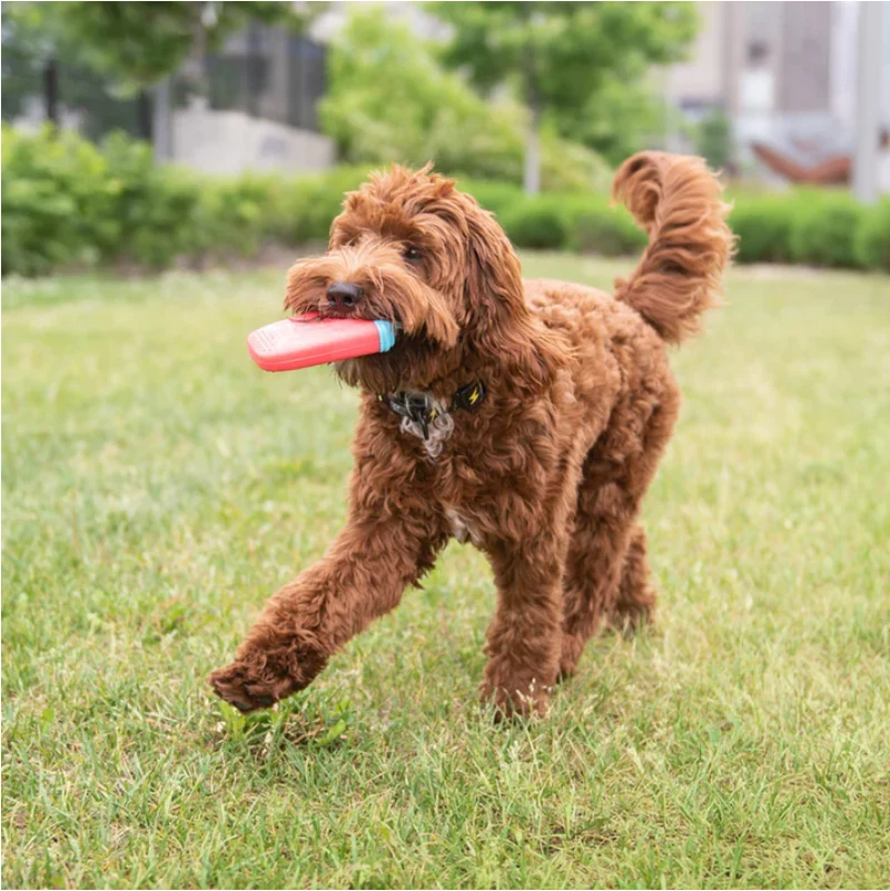 ICE TOY™ - Jouet rafraîchissant pour chien avec cône de glace | Popsicle Fraise