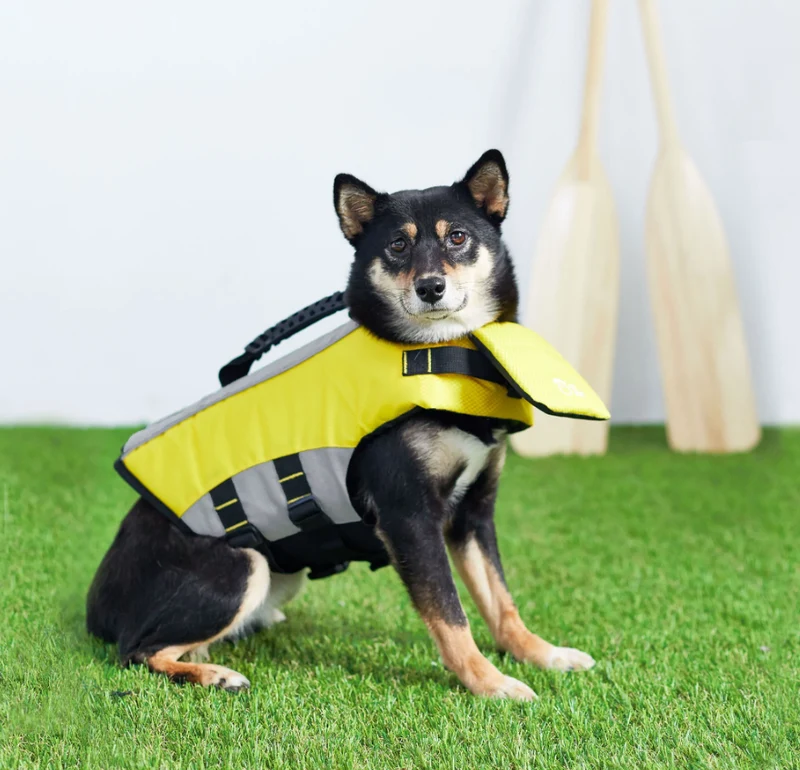 Veste de flottaison pour chien (XL) - Life Jacket - GF Pet