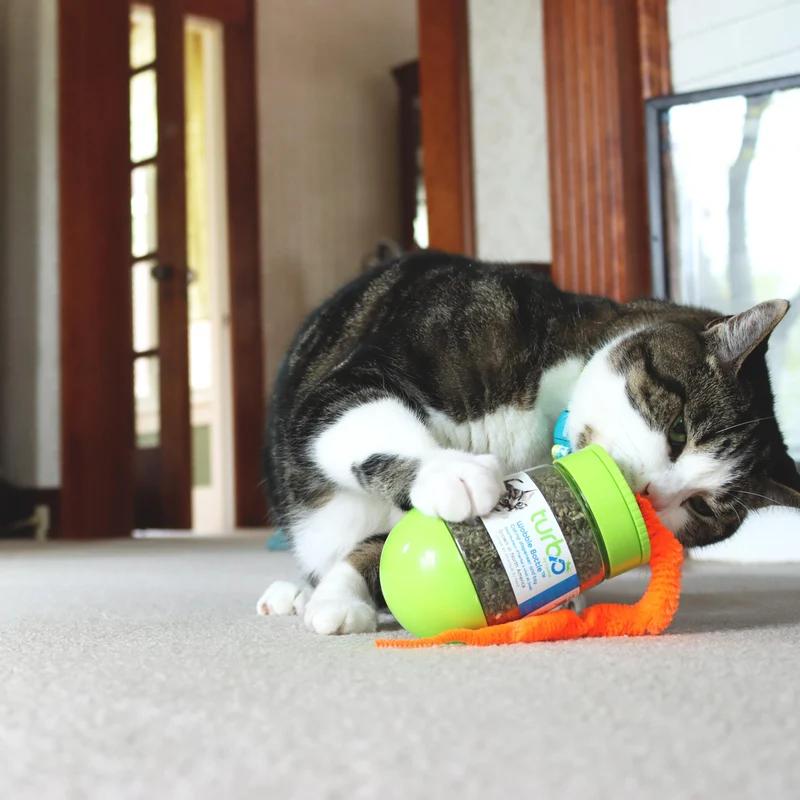 Bouteille Turbo Wobble