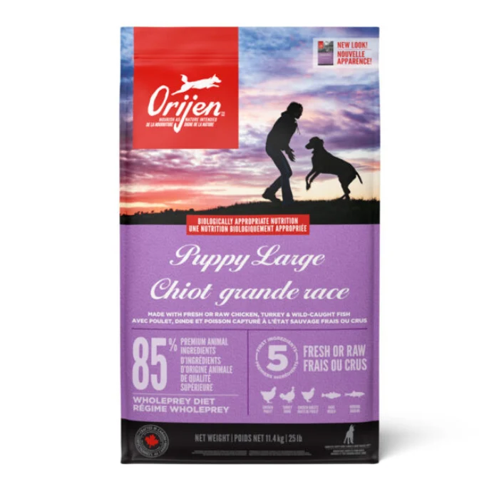 Nourriture pour chiots de moyenne et grande race Orijen 38 % protéines