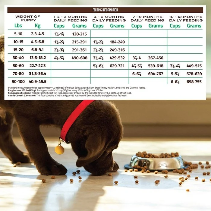 Holistic Select - Nourriture agneau grande race pour chiot (Puppy Health)