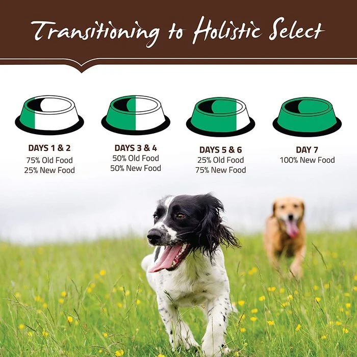 Holistic Select - Nourriture agneau grande race pour chiot (Puppy Health)
