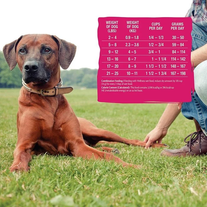 Nourriture pour chien de petite race Wellness Core Sans Grain