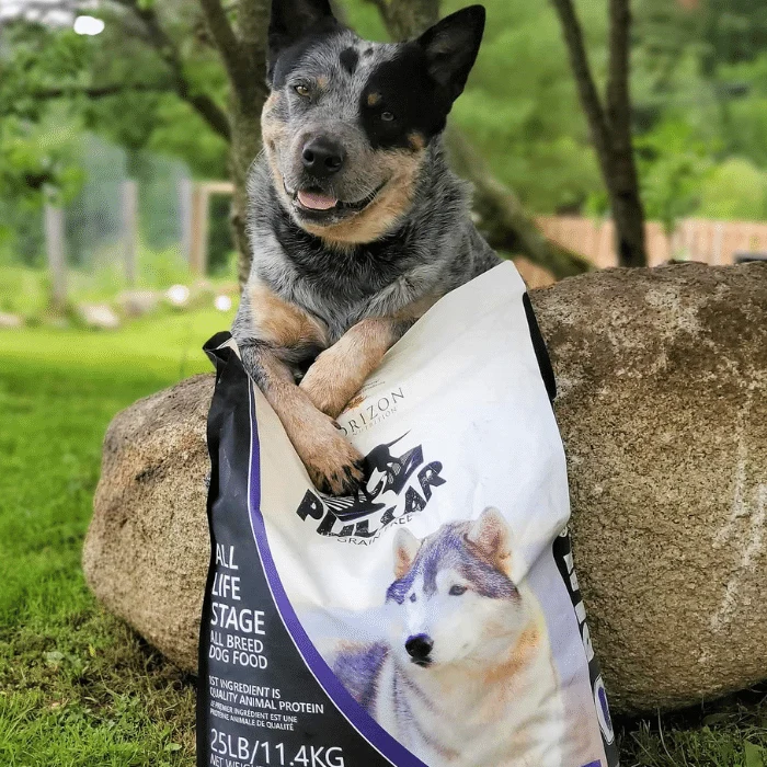 Nourriture pour chien Horizon Pulsar sans grain Porc