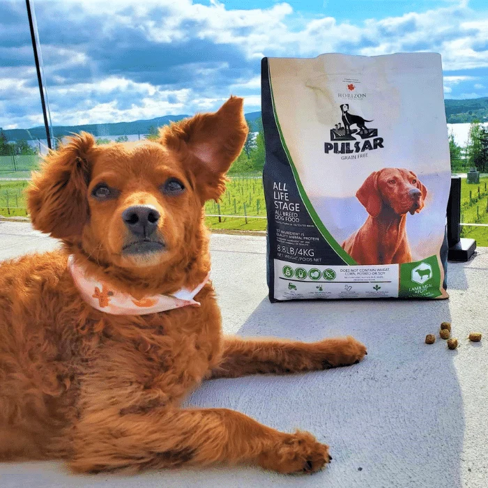 Nourriture pour chien Horizon Pulsar sans grain Agneau