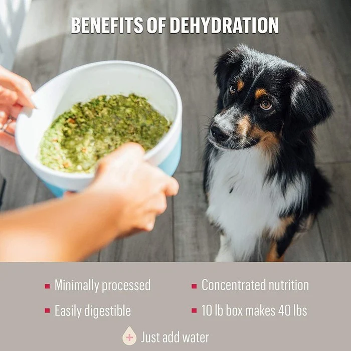 The Honest Kitchen Revel déshydraté poulet grain entier pour chiens