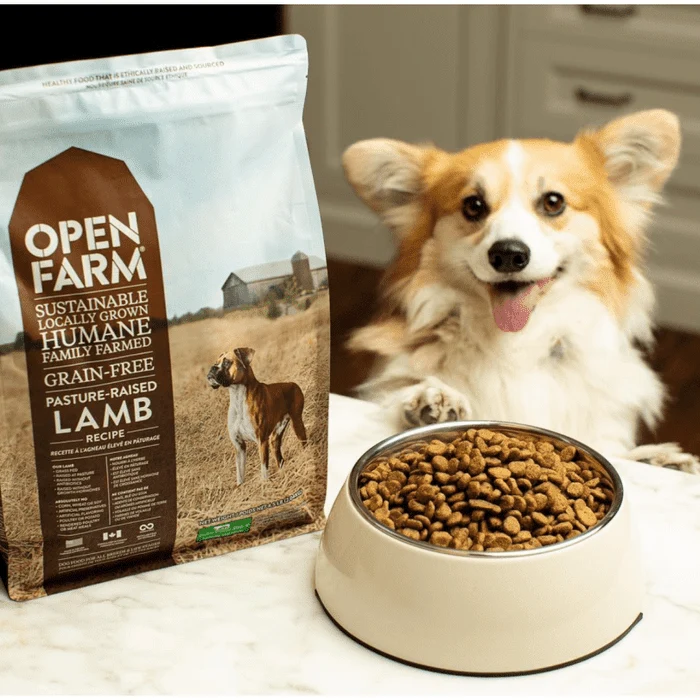 Nourriture pour chiens Open Farm Agneau sans grain
